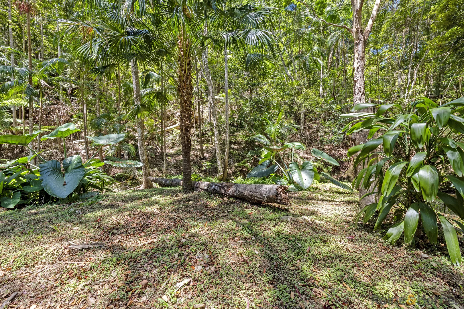 Additional image 26 of 126 Harwood Road, Burringbar NSW 2483