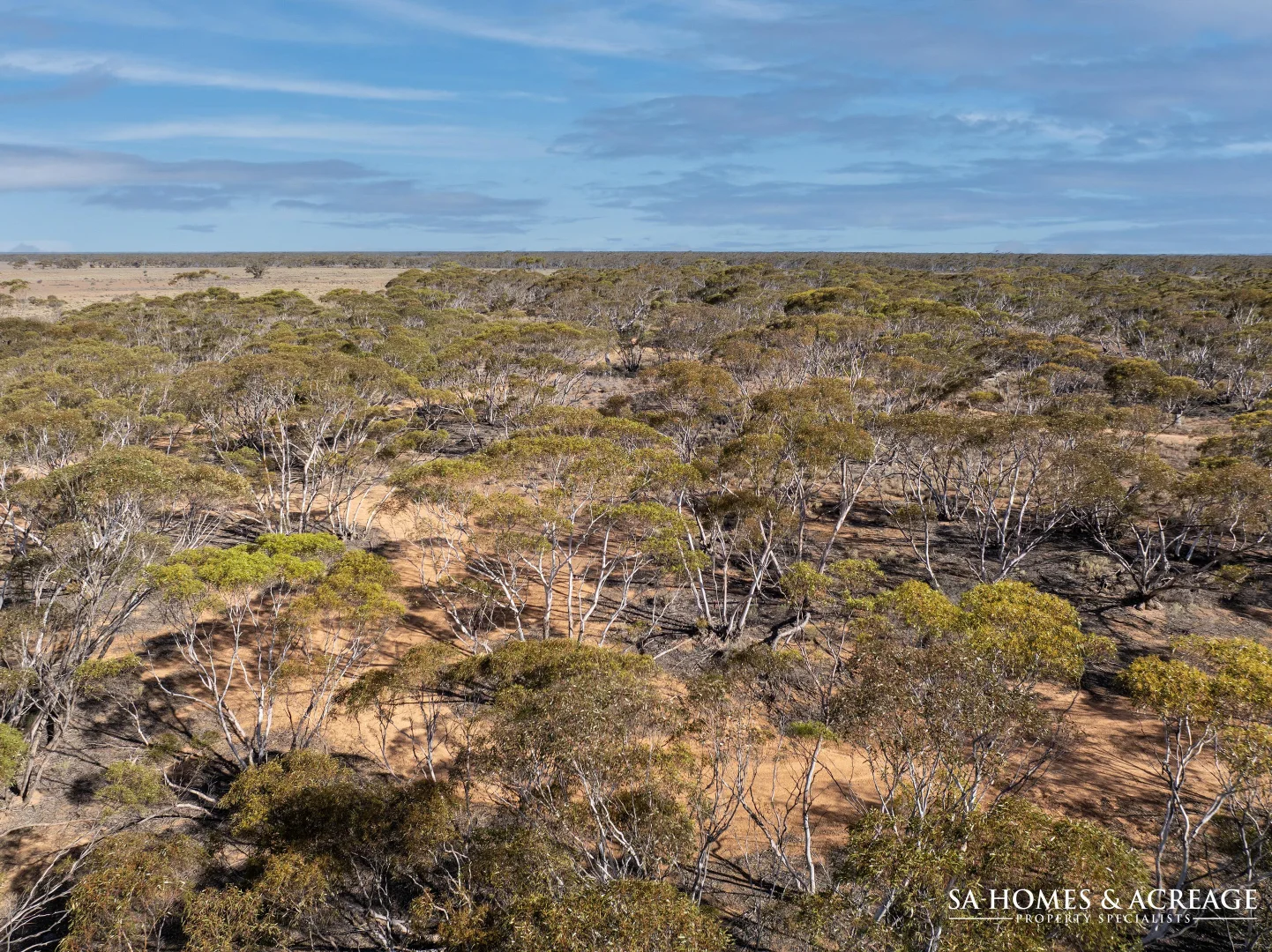 Additional image 12 of Lot 267 Linkes Woolshed Road, Steinfeld SA 5356