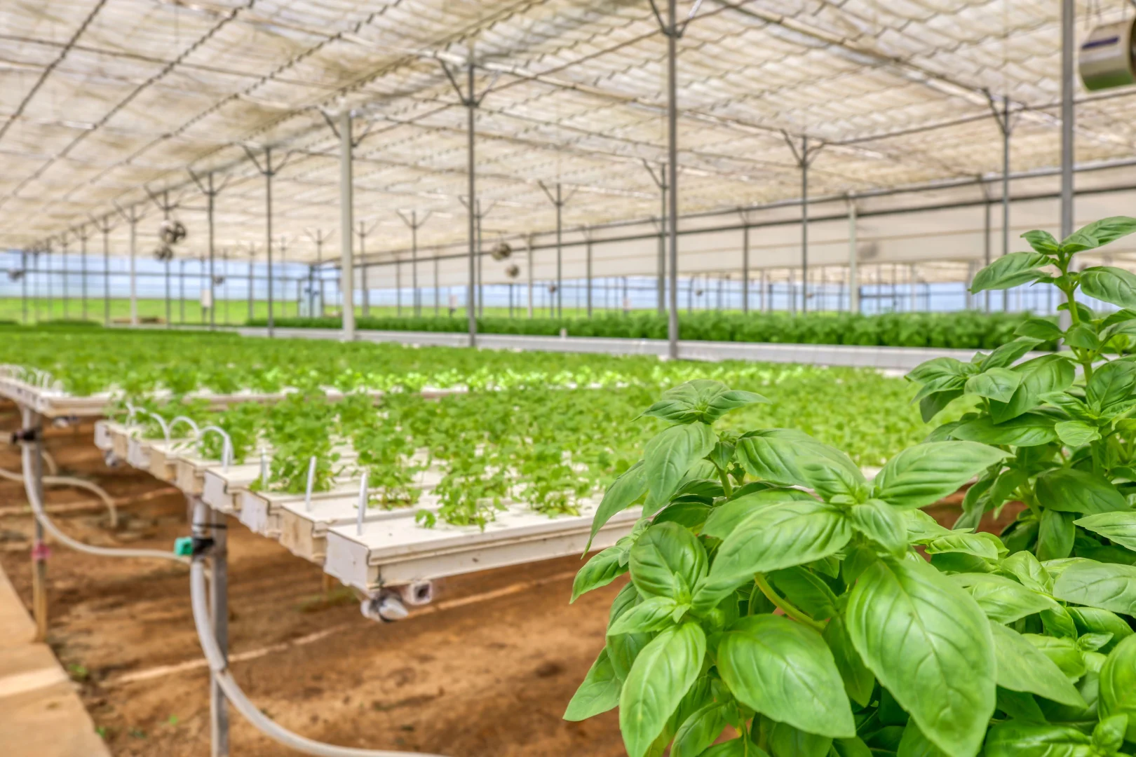 Additional image 15 of 178 Dunns Avenue, Harrisville QLD 4307