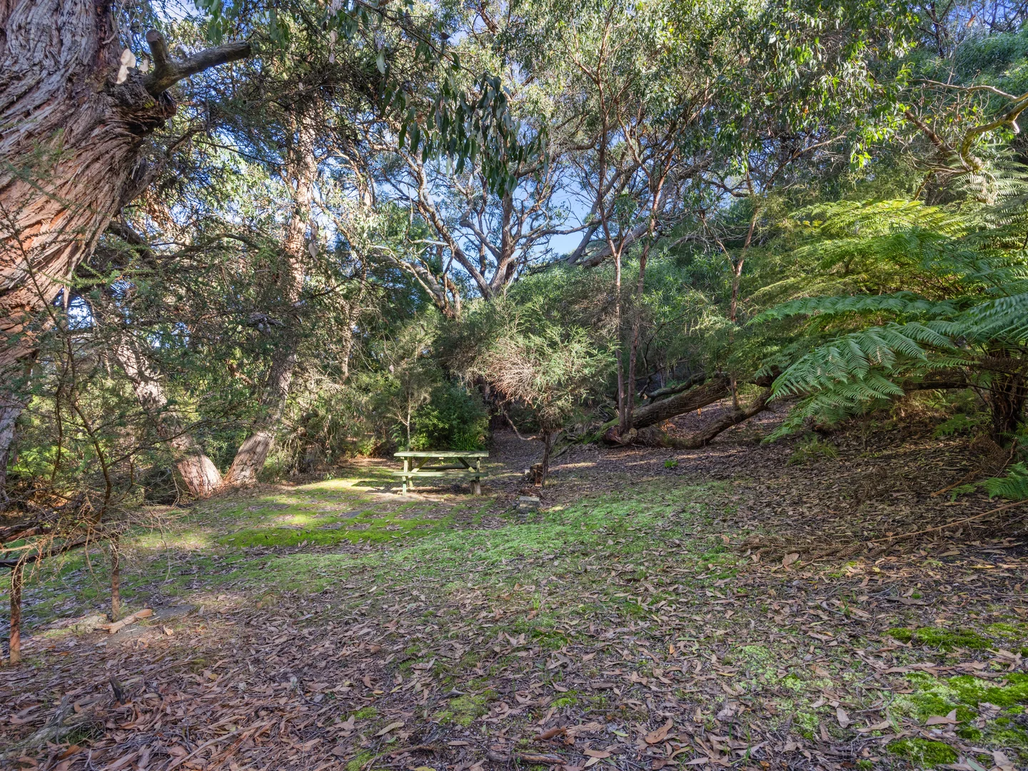 Additional image 7 of 15 Caringal Street, Waratah Bay VIC 3959