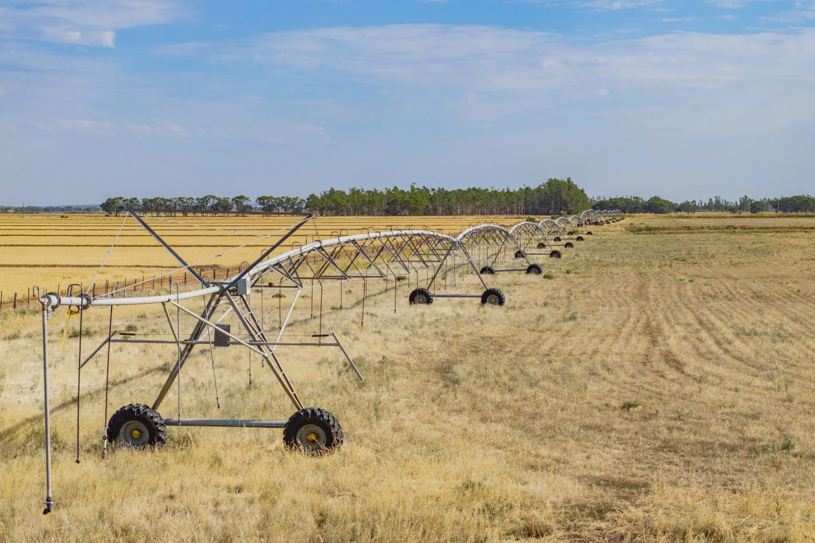 Additional image 4 of Murrami Road, Murrami NSW 2705