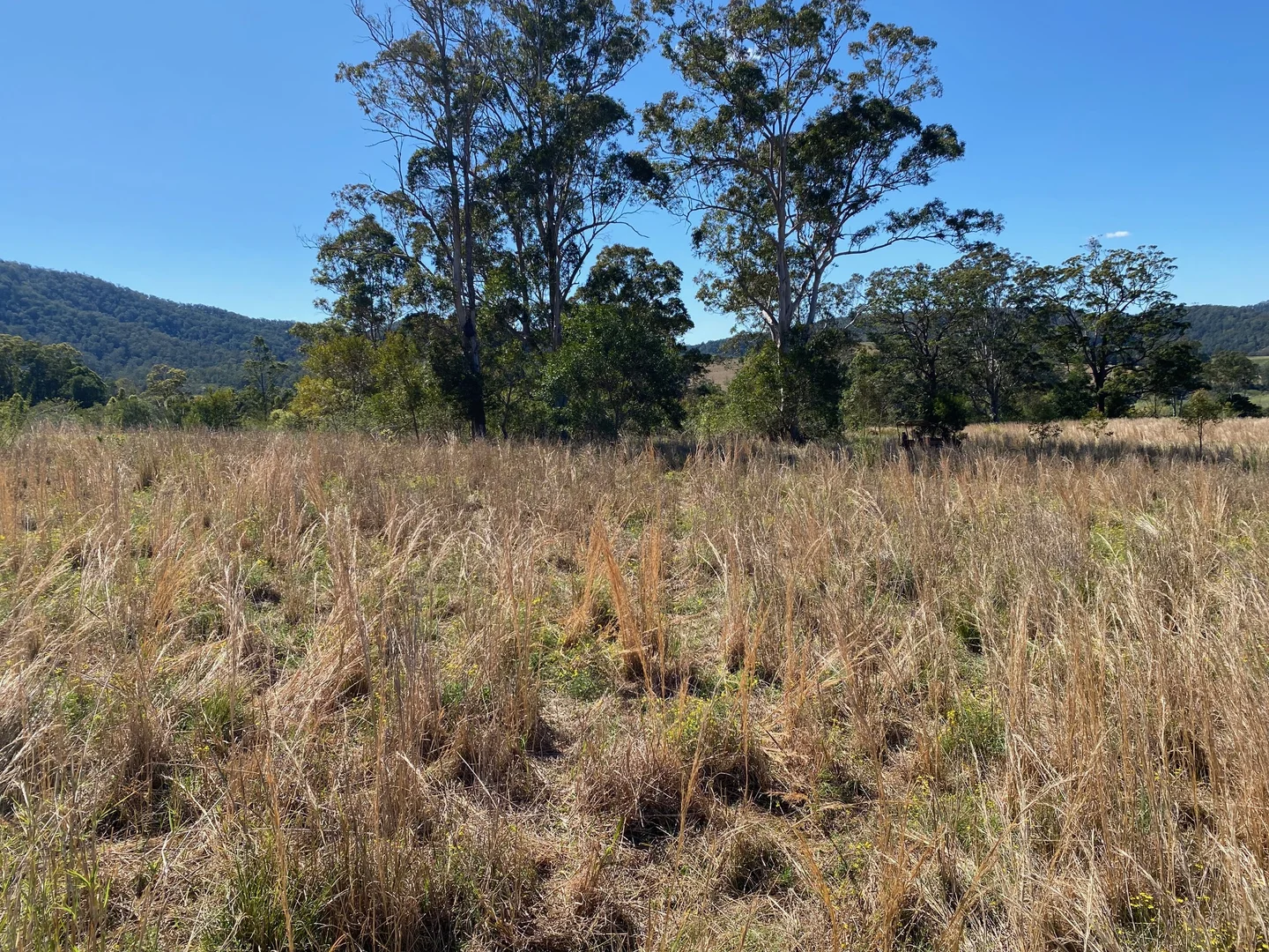 Additional image 3 of 427 Shaws Road, Hollisdale NSW 2446