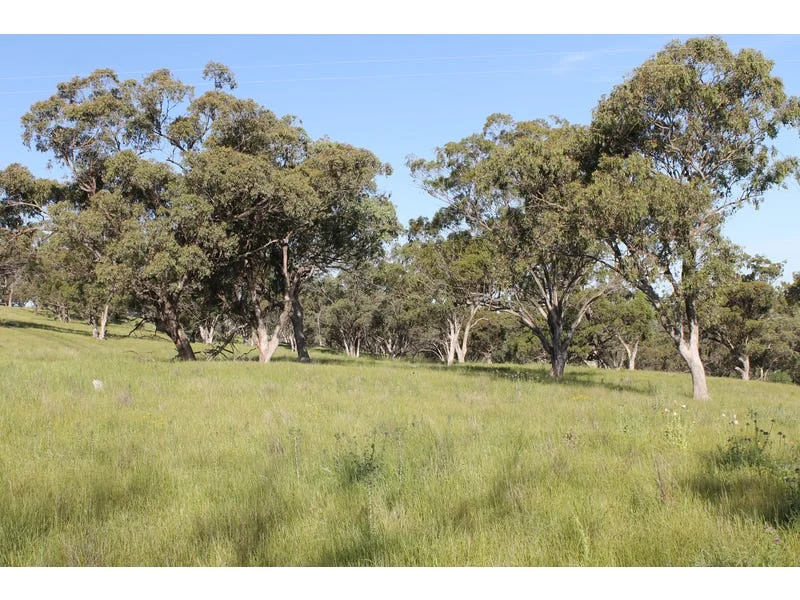 Additional image 11 of Golden Highway, Cassilis NSW 2329