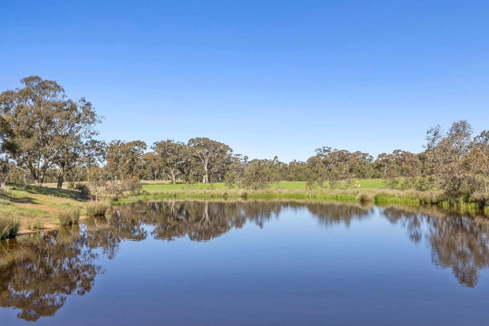 Additional image 11 of 189 Siddles Road, Redesdale VIC 3444