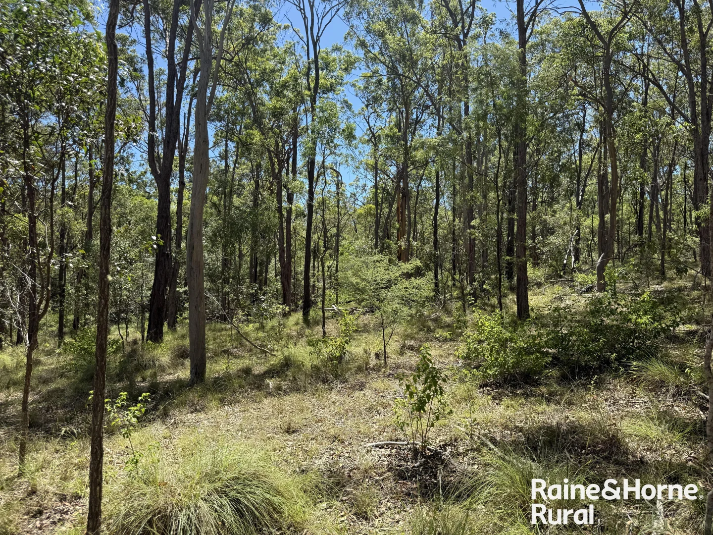Additional image 5 of Lot 158 Brocklehurst road, Wattle Camp QLD 4615