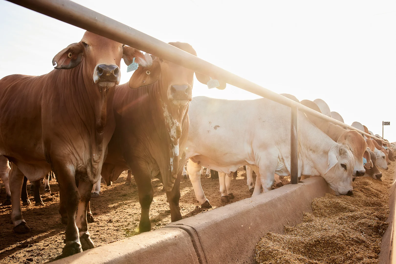 Additional image 13 of 91 Mort Street, Toowoomba City QLD 4350