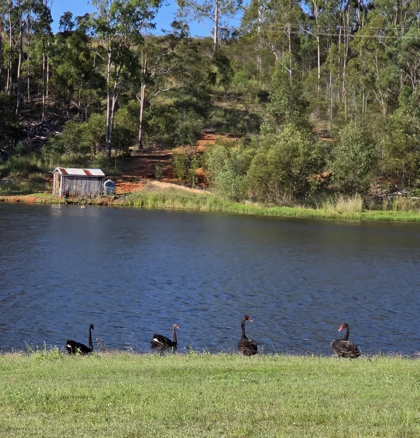 Additional image 17 of 63 Griggs Road, Eureka QLD 4660