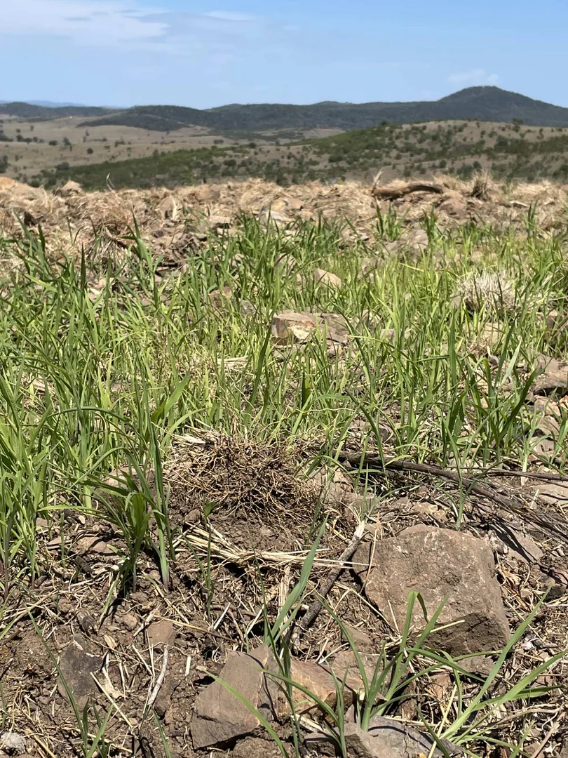 Additional image 6 of Lot 9 Silver Spur Redgate Road, Silver Spur QLD 4385