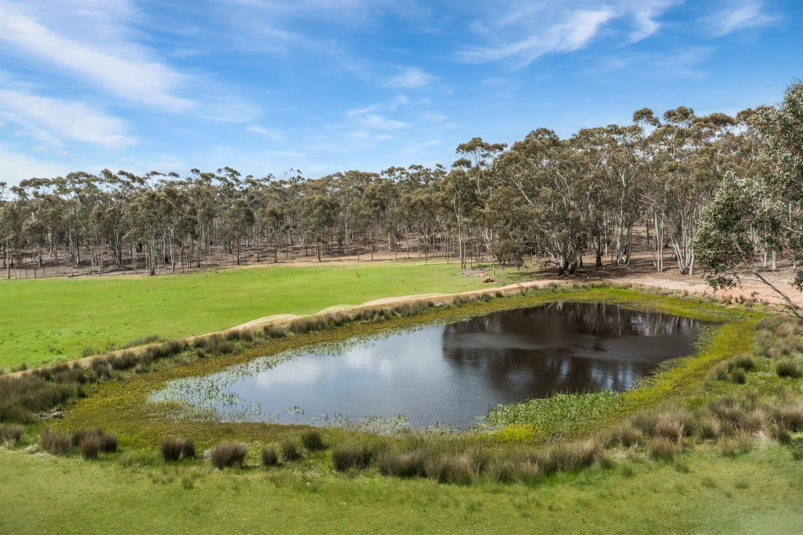 Additional image 24 of 503 Mia Mia-Derrinal Road, Heathcote VIC 3523