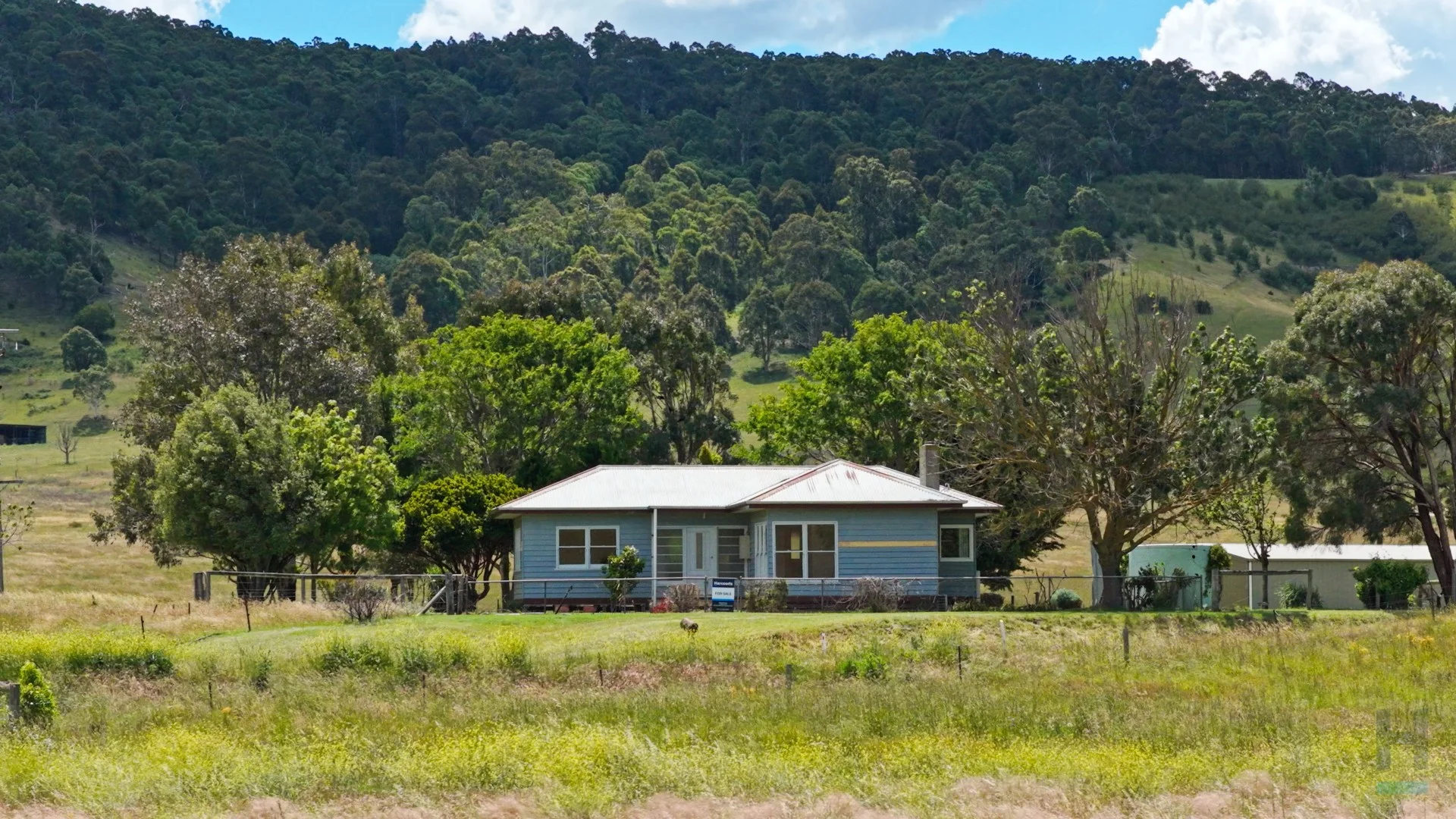 1245 Omeo Valley Road, Omeo Valley VIC 3898