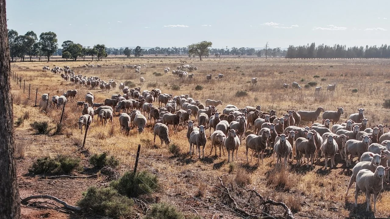 Additional image 5 of 2633 Bruie Plains Road, Bruie Plains NSW 2875