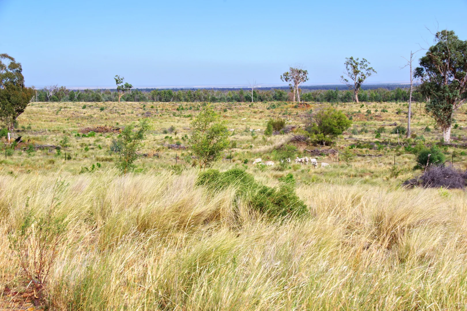 Additional image 43 of 2381. Killarney Gap Road, Narrabri NSW 2390