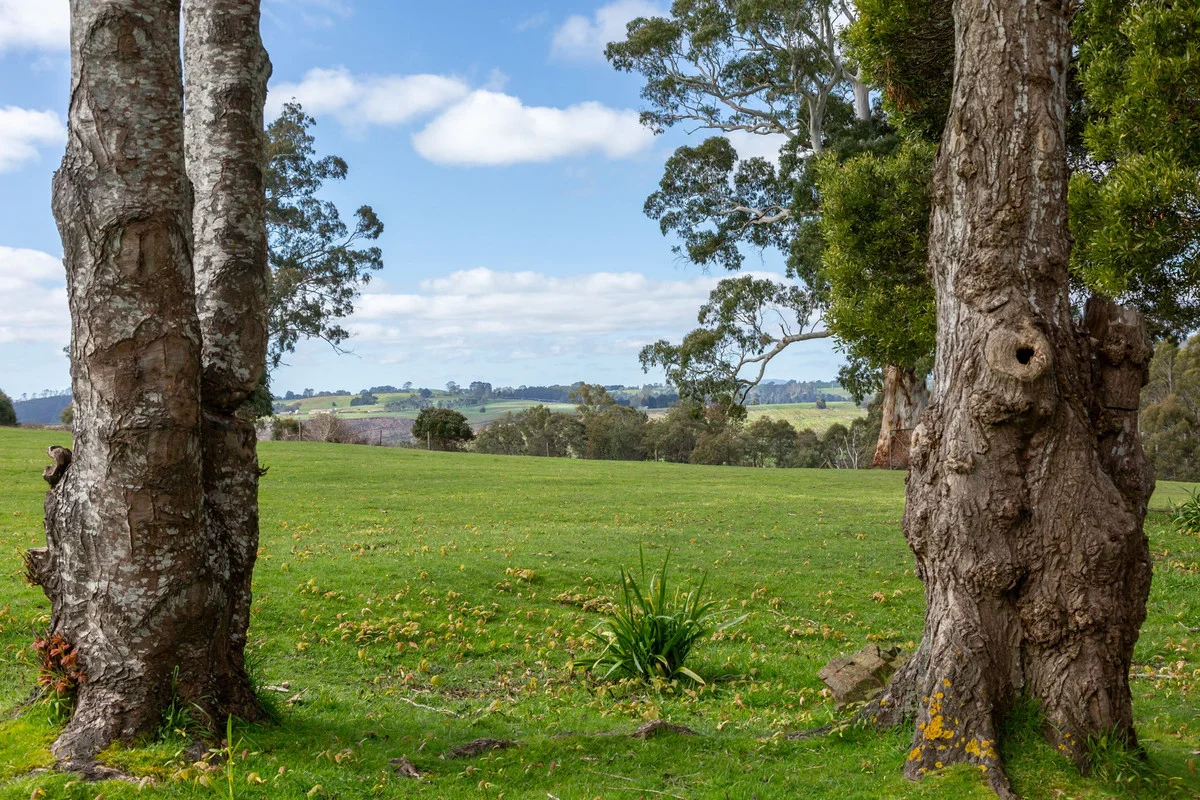 Additional image 10 of 4 John Street, Branxholm TAS 7261