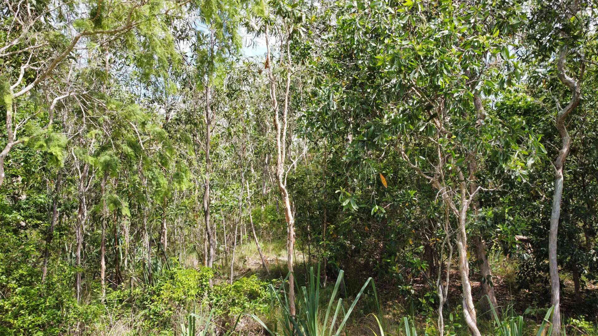 Additional image 5 of Lot 30 Conder Pde ( Bangaru ), Laguna Quays QLD 4800