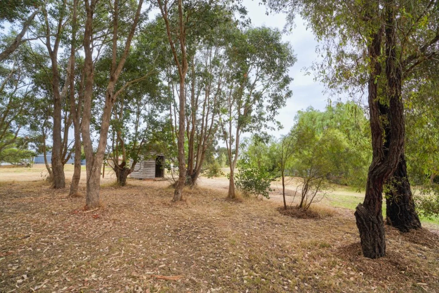 Additional image 11 of 1 Cox Street, Branxholme VIC 3302