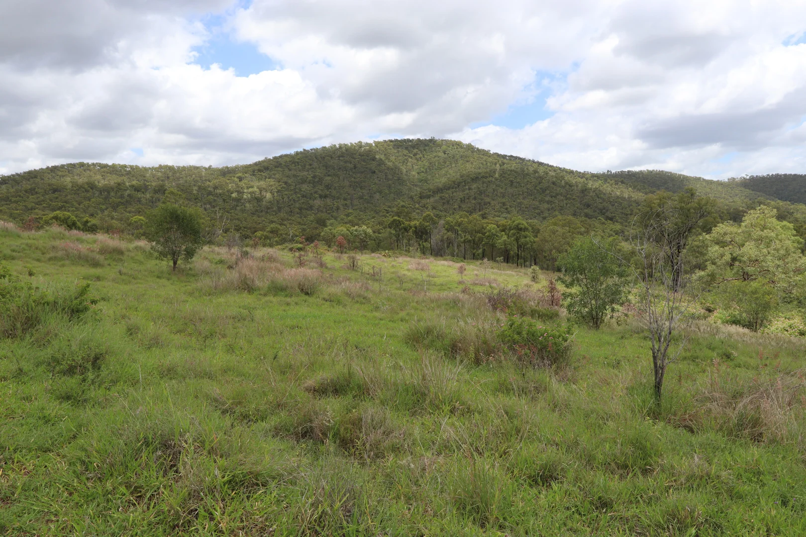 Additional image 12 of 890 Boulder Creek Rd, Boulder Creek QLD 4714