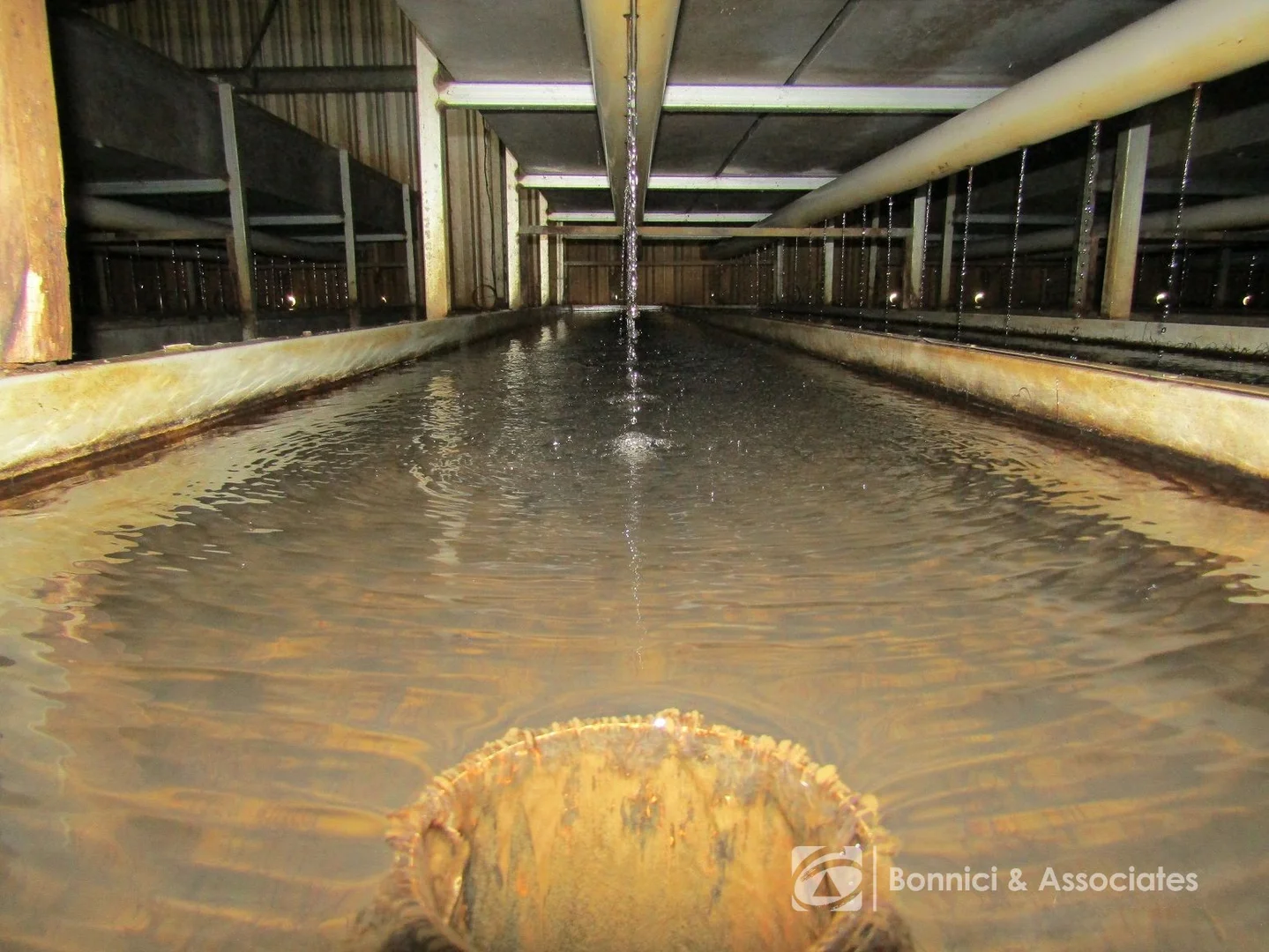 Additional image 14 of 121 Stanley Road, Beechworth VIC 3747