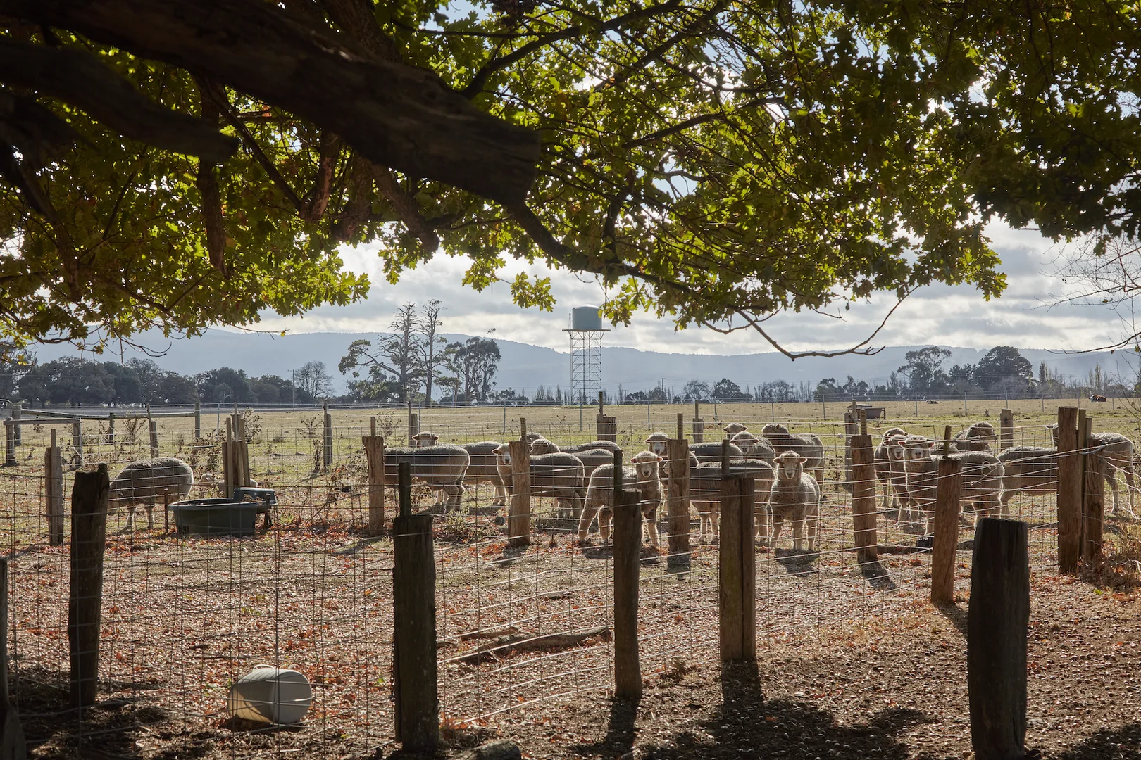 Additional image 11 of 9 Lawson Road, Gisborne VIC 3437