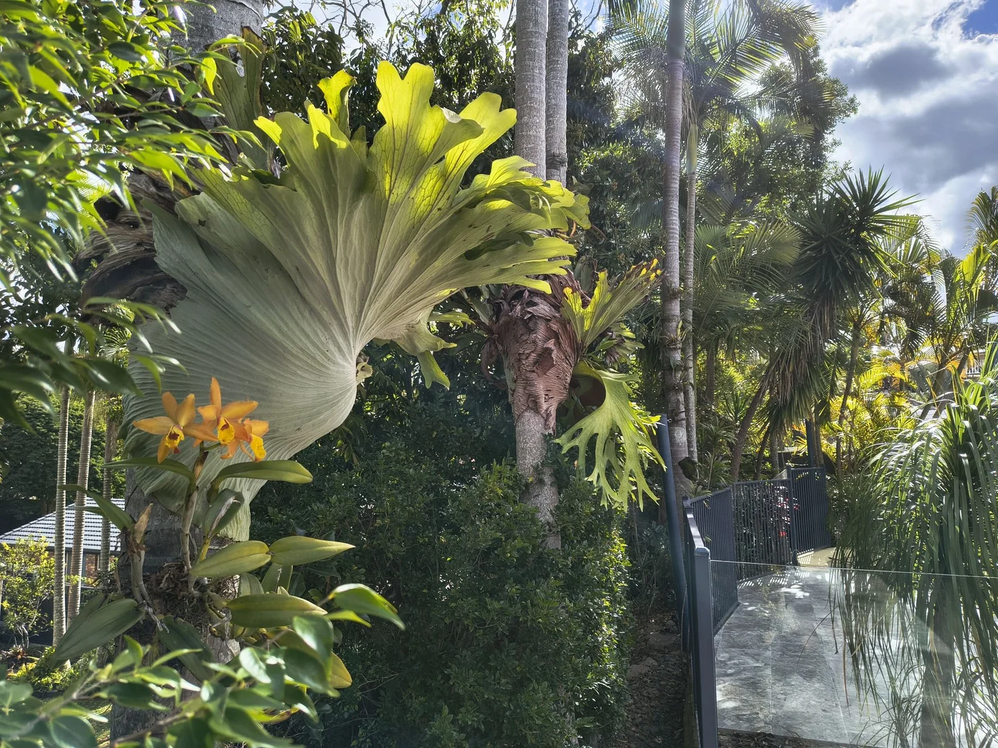 Additional image 16 of 16-18 Mingah Crescent, Shailer Park QLD 4128