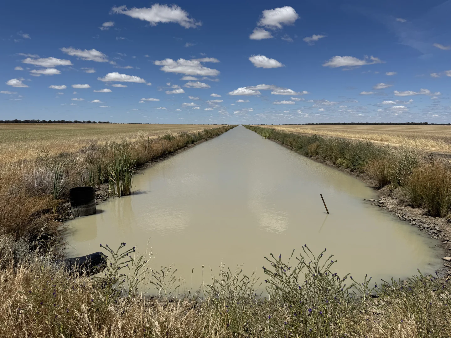 Additional image 57 of 300 Devon Road, Deniliquin NSW 2710