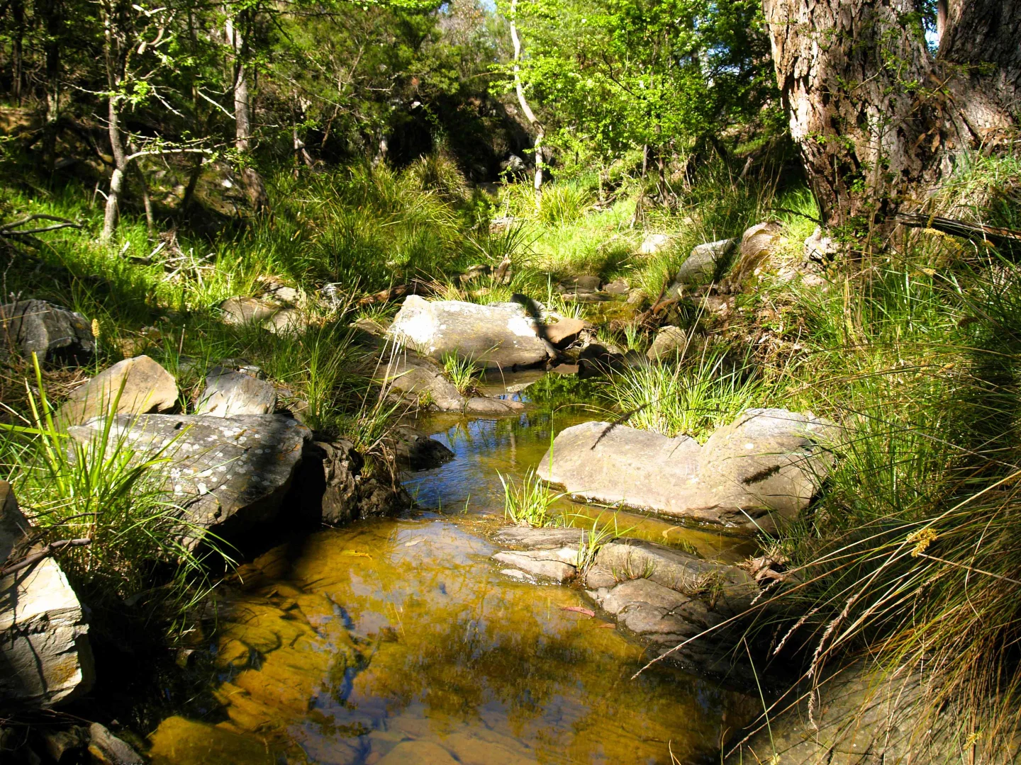 Additional image 20 of 198 Wurungul Lane, Gundaroo NSW 2620