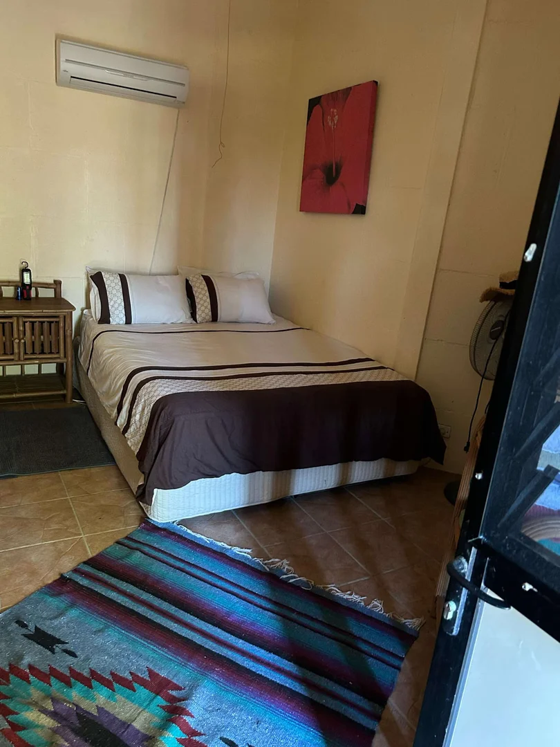 Additional image 27 of Lot 1 Esplanade, Shelburne QLD 4874