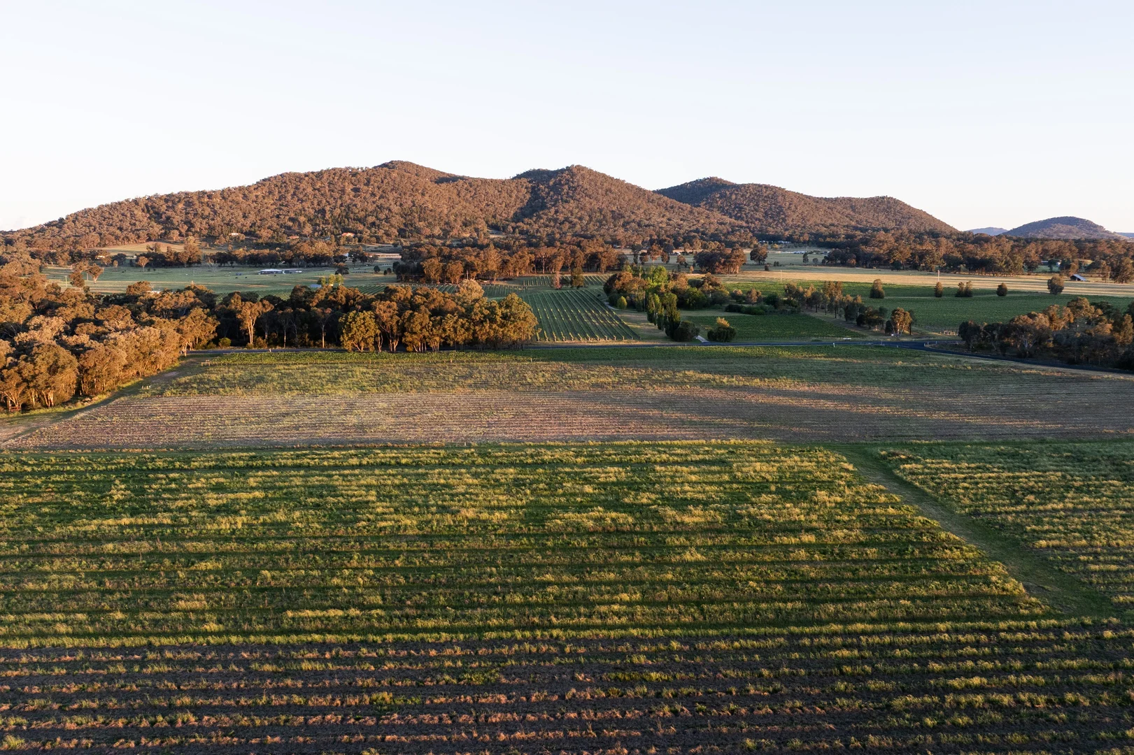 Additional image 12 of Lot 1 Black Springs Road, Mudgee NSW 2850