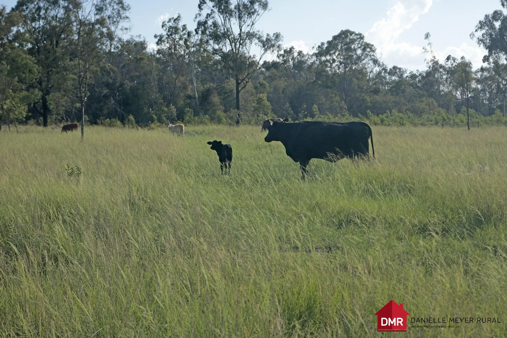 Additional image 7 of 24754 Burnett Highway, Ceratodus QLD 4627