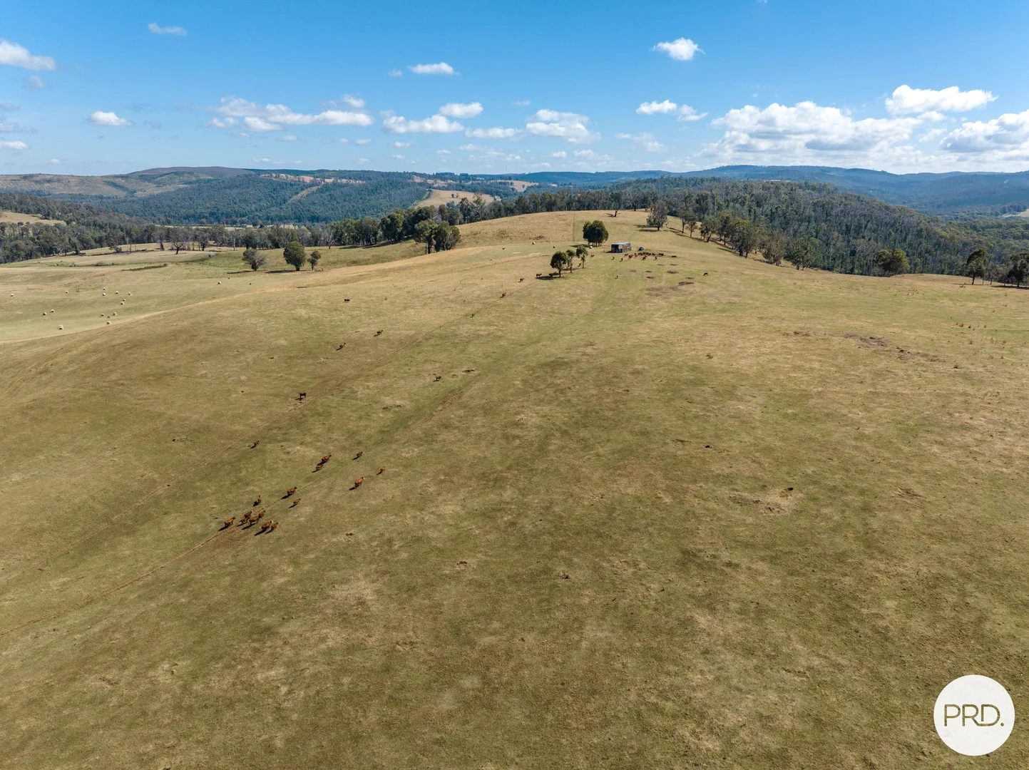 Additional image 17 of 1100 Batlow Road, Tumbarumba NSW 2653