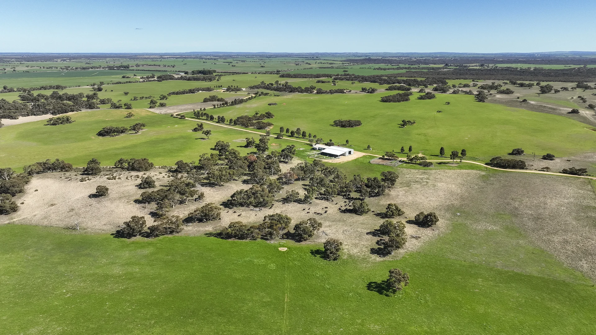 Additional image 41 of 381 & 907 Pascoe Road, Coonalpyn SA 5265