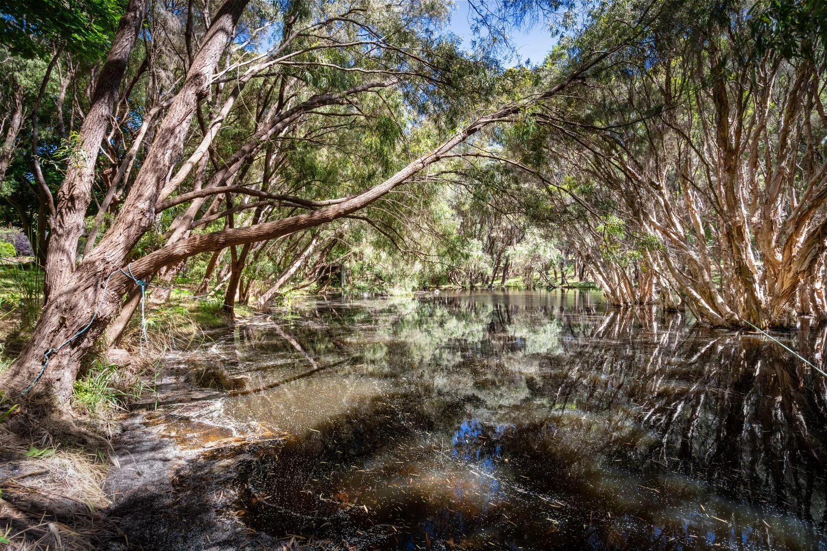 Additional image 29 of 1 Timor Place, Margaret River WA 6285