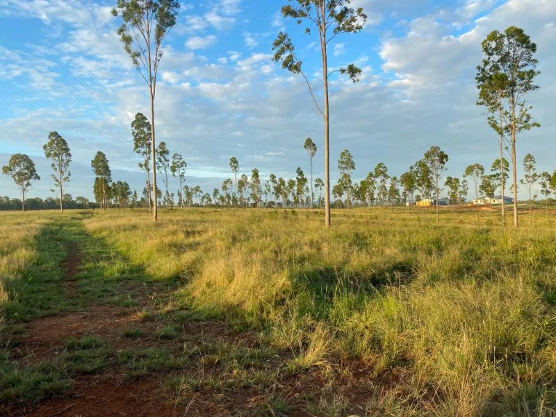 Additional image 26 of 225 BEILS ROAD, Kingaroy QLD 4610