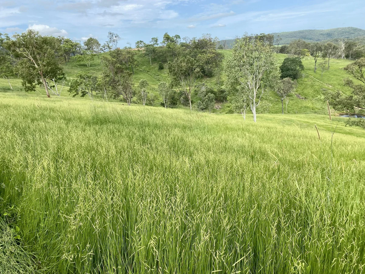 Additional image 20 of 558 Marlborough-Sarina Road, Sarina QLD 4737