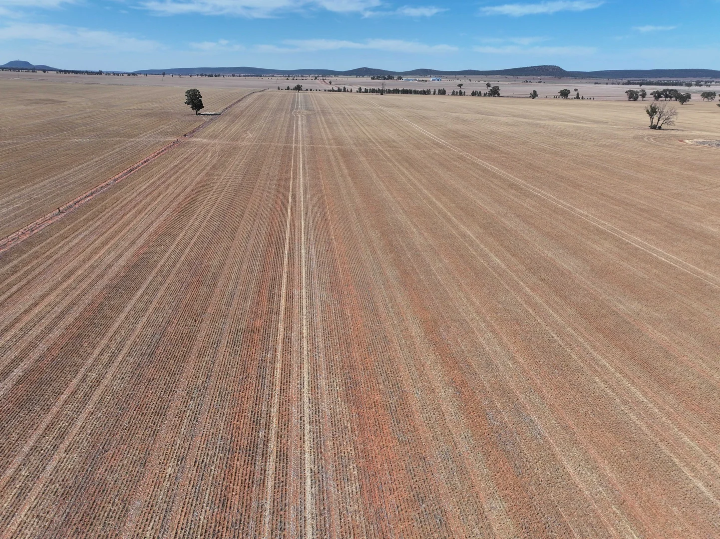 Additional image 13 of 'Nolens'  5000 Barellan Road, Colinroobie NSW 2700