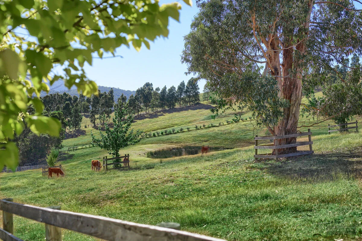 Additional image 26 of 159 Cunninghams Road, Chum Creek VIC 3777