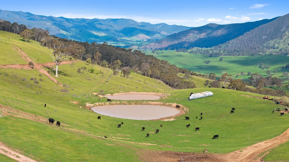 Additional image 7 of 914 Target Creek Road, Licola VIC 3858