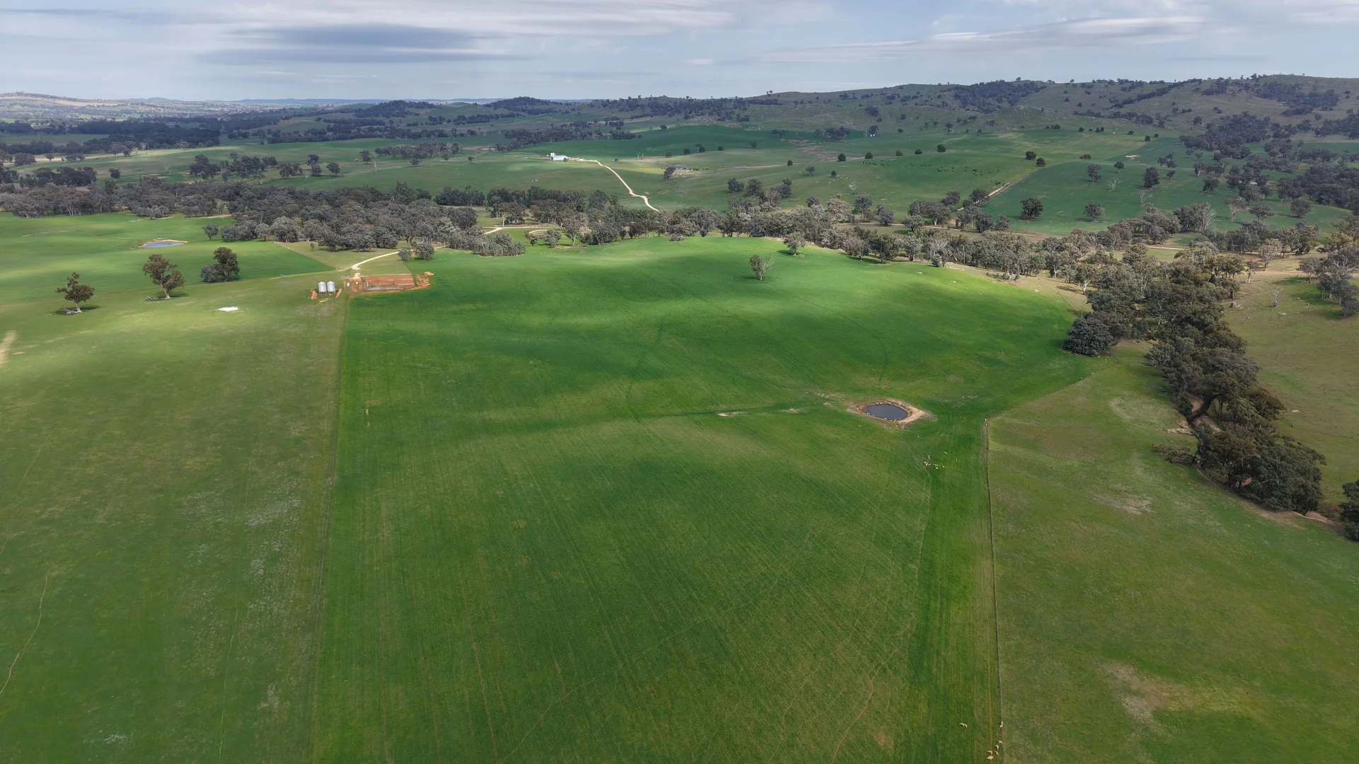 Additional image 4 of Dicksons, 0 Bennett Springs Road, Cowra NSW 2794