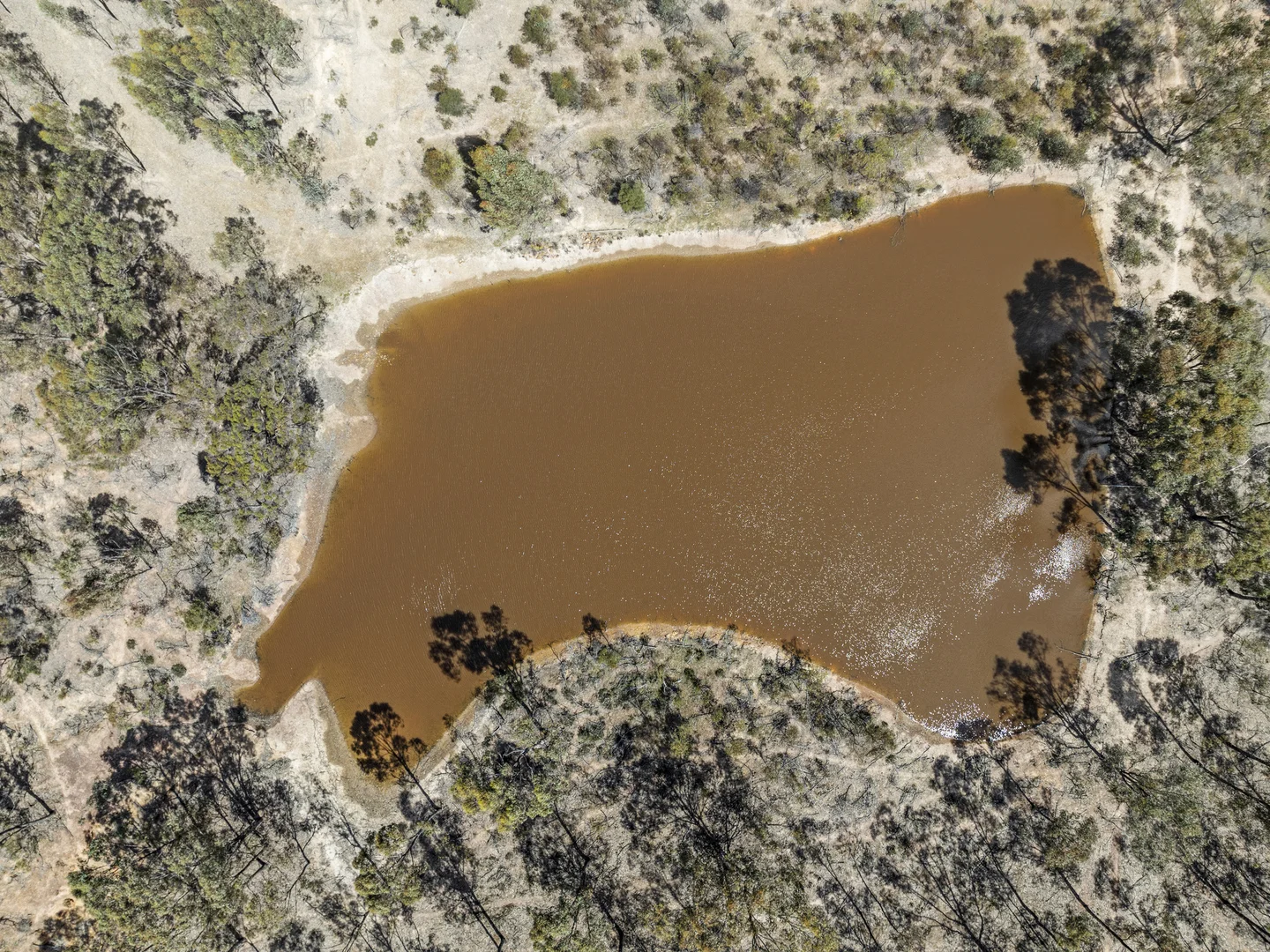 Additional image 5 of Lot 3 Gellibrand Tonks Road, Earlston VIC 3669