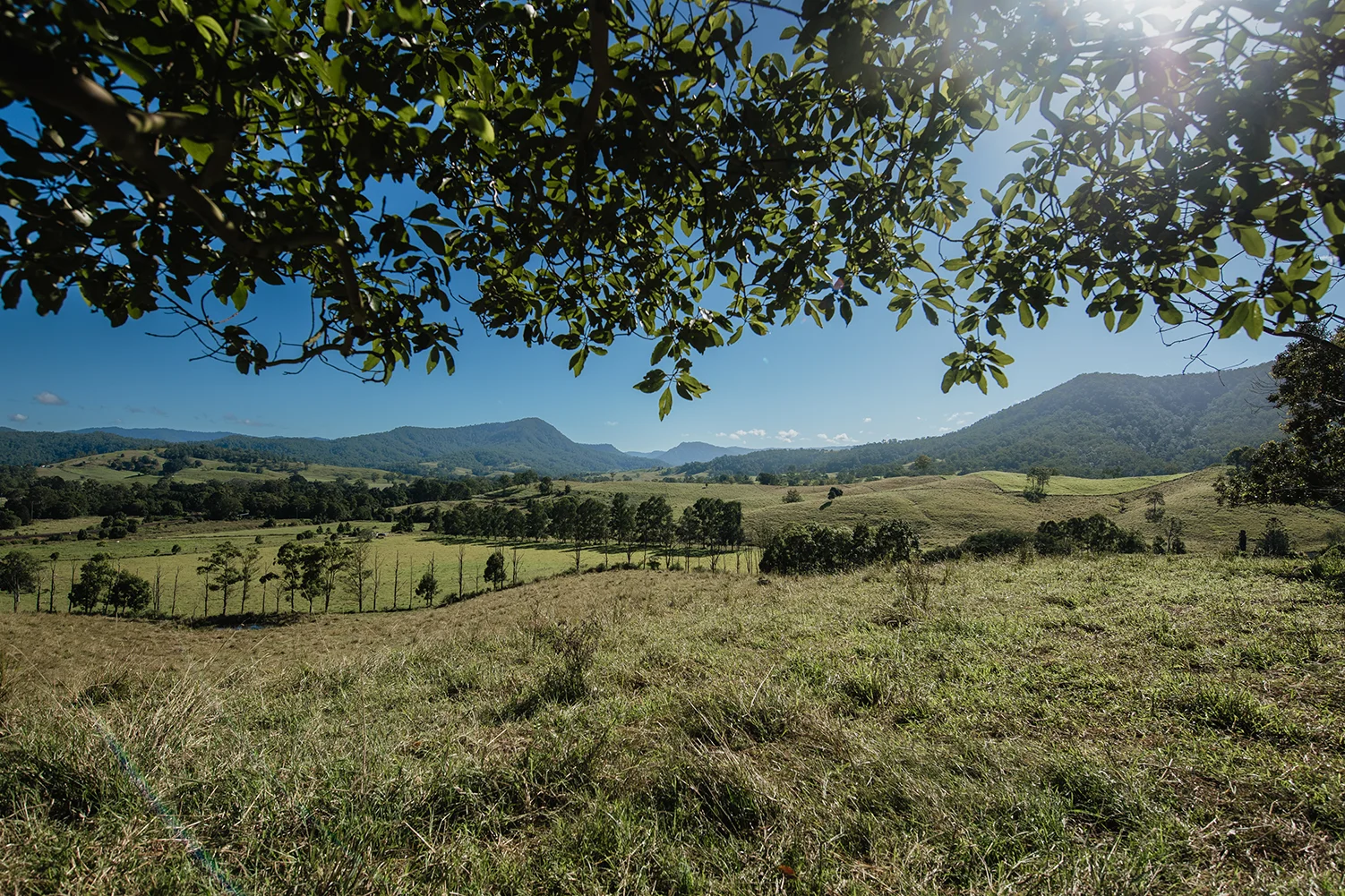 Additional image 9 of Lynches Creek Road, Wiangaree NSW 2474
