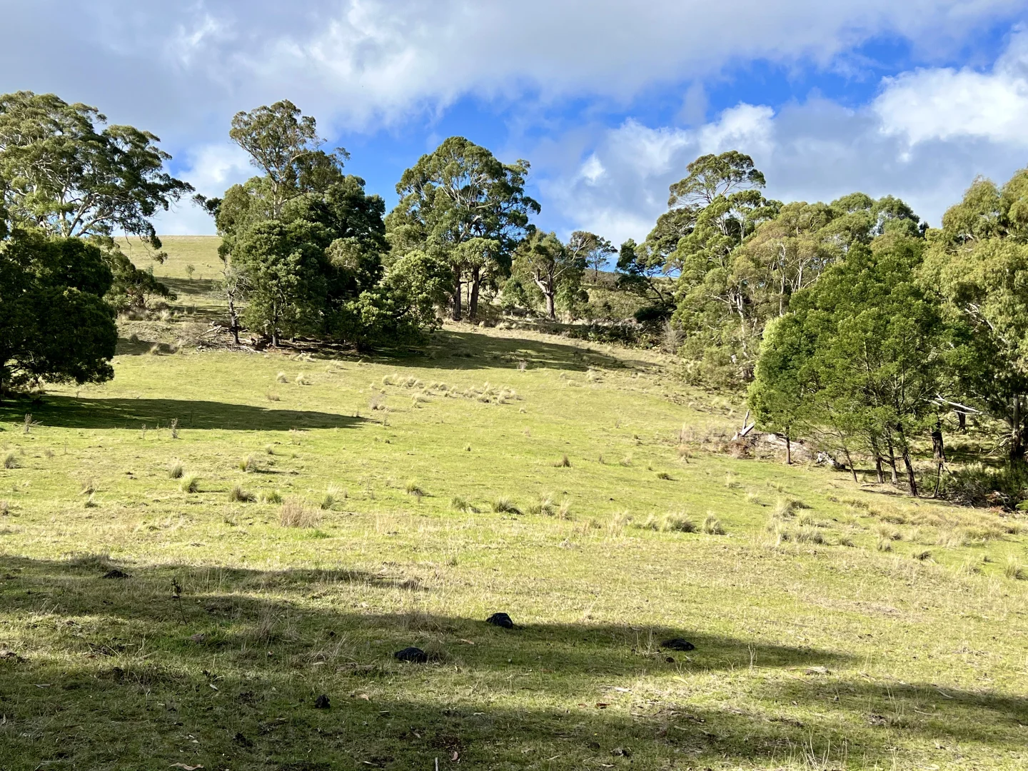 Additional image 5 of Red Gap Road/Fagans Lane, Goldie VIC 3435