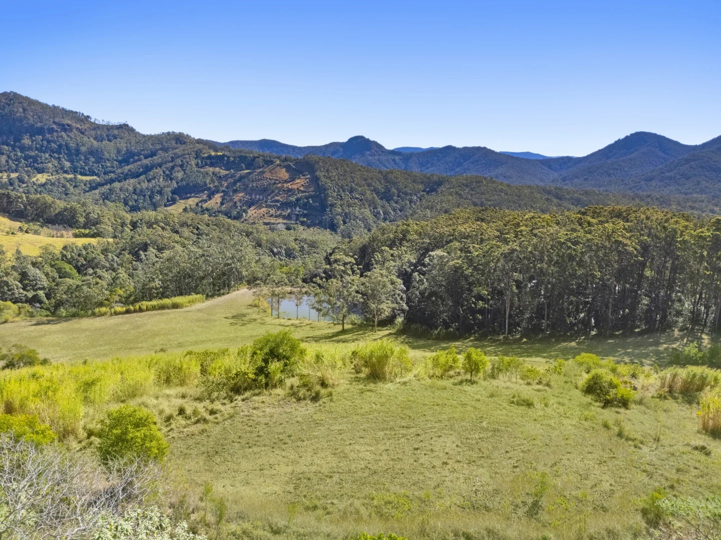 Additional image 19 of 193 Petsch Creek Road, Tallebudgera Valley QLD 4228