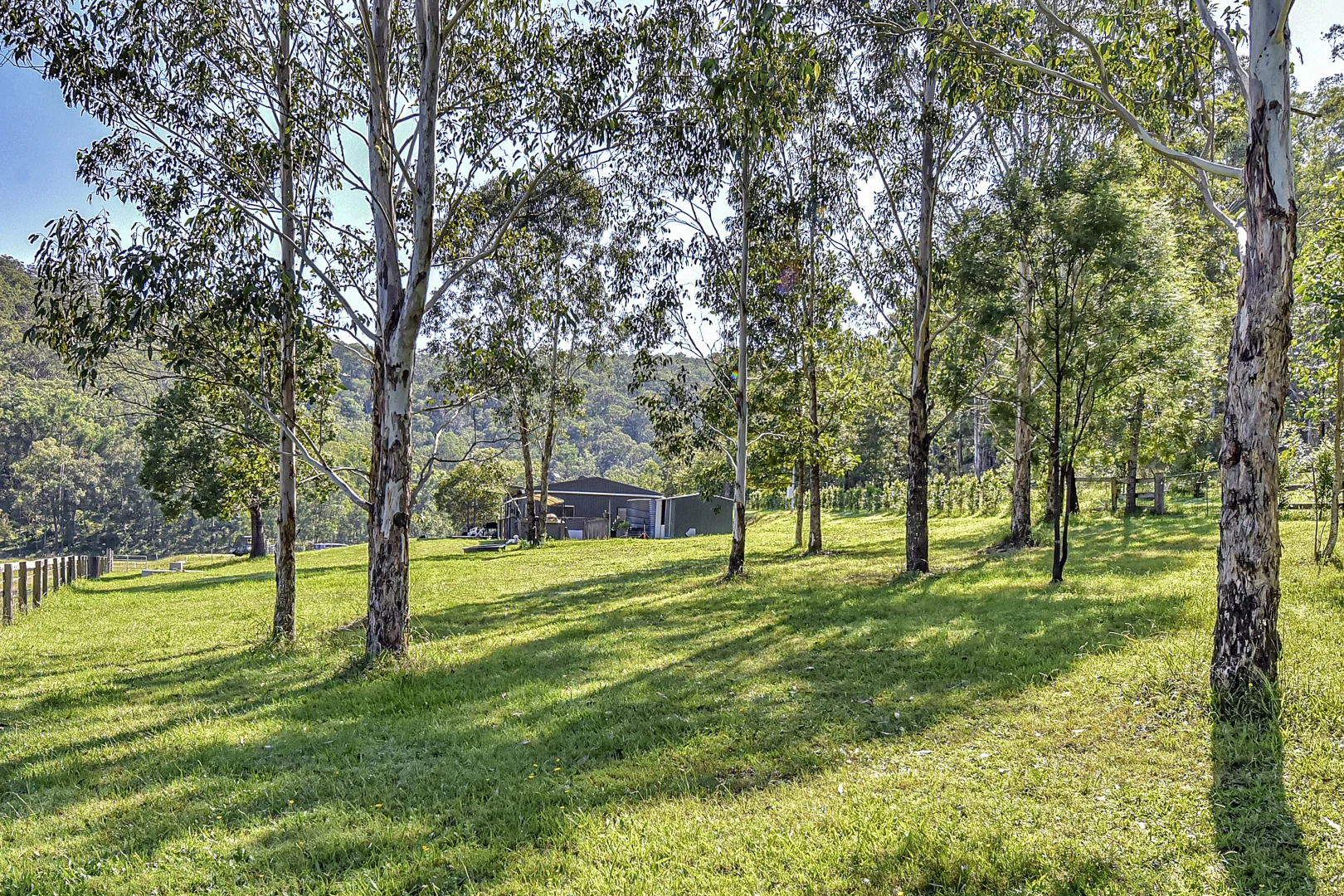 Additional image 19 of 61 Narone Creek Rd, Wollombi NSW 2325