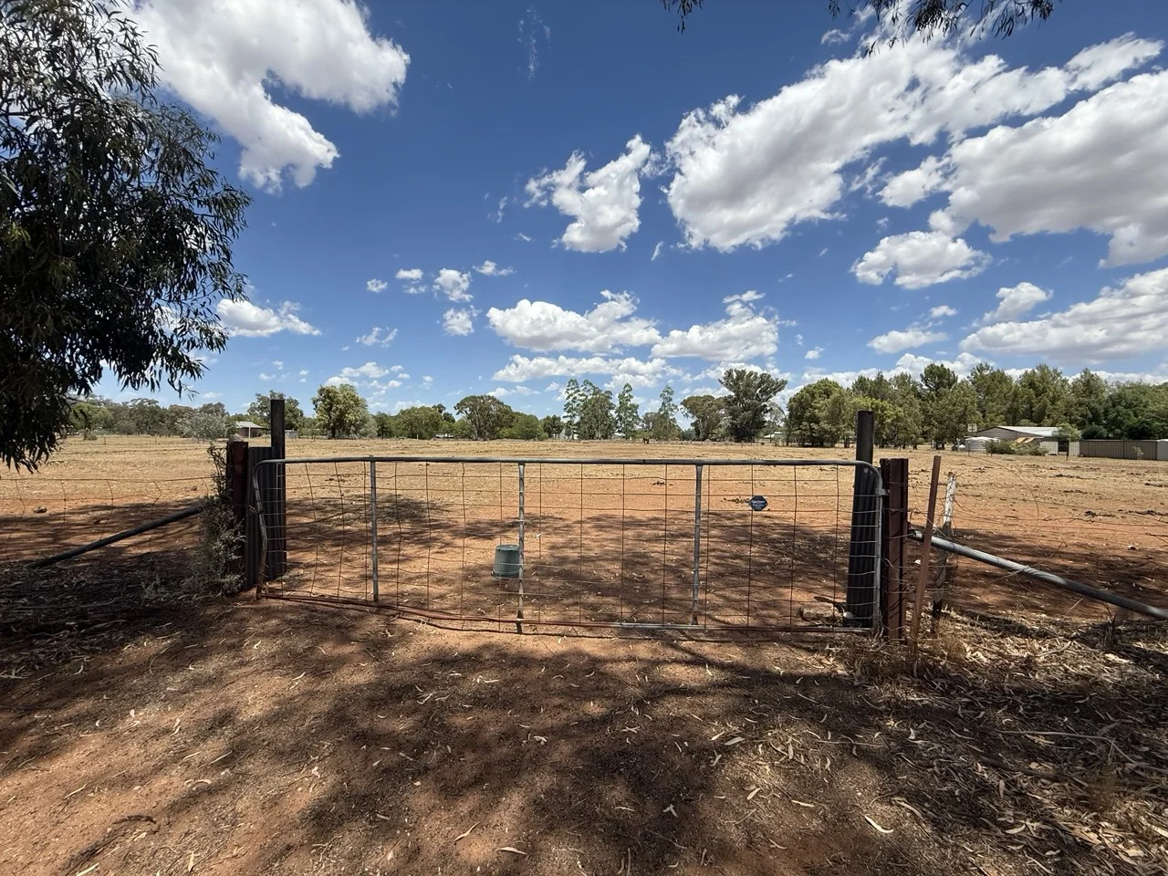 Additional image 6 of 50 Gobondery Street, Trundle NSW 2875