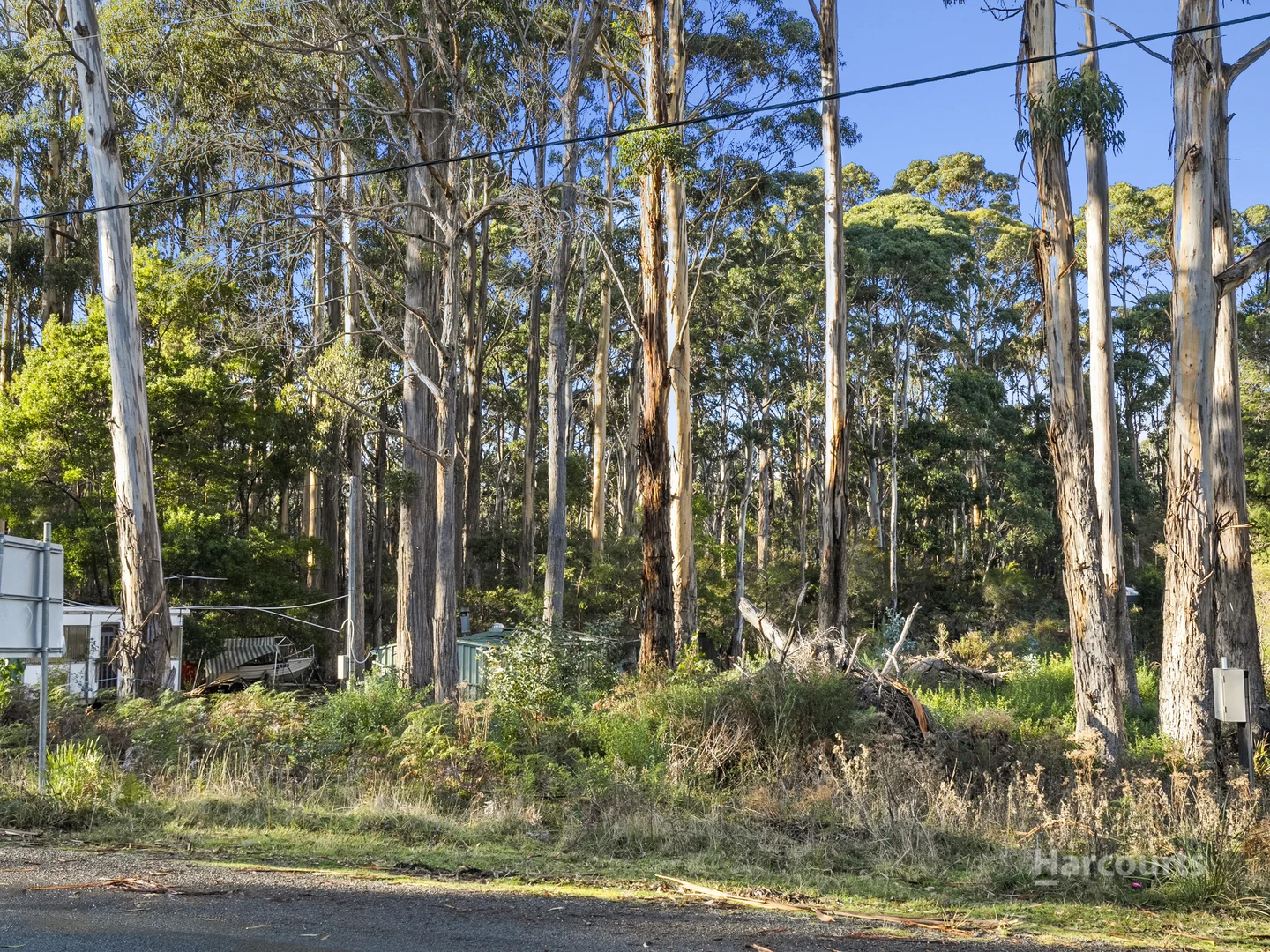 Additional image 5 of 334 Blowhole Road, Eaglehawk Neck TAS 7179