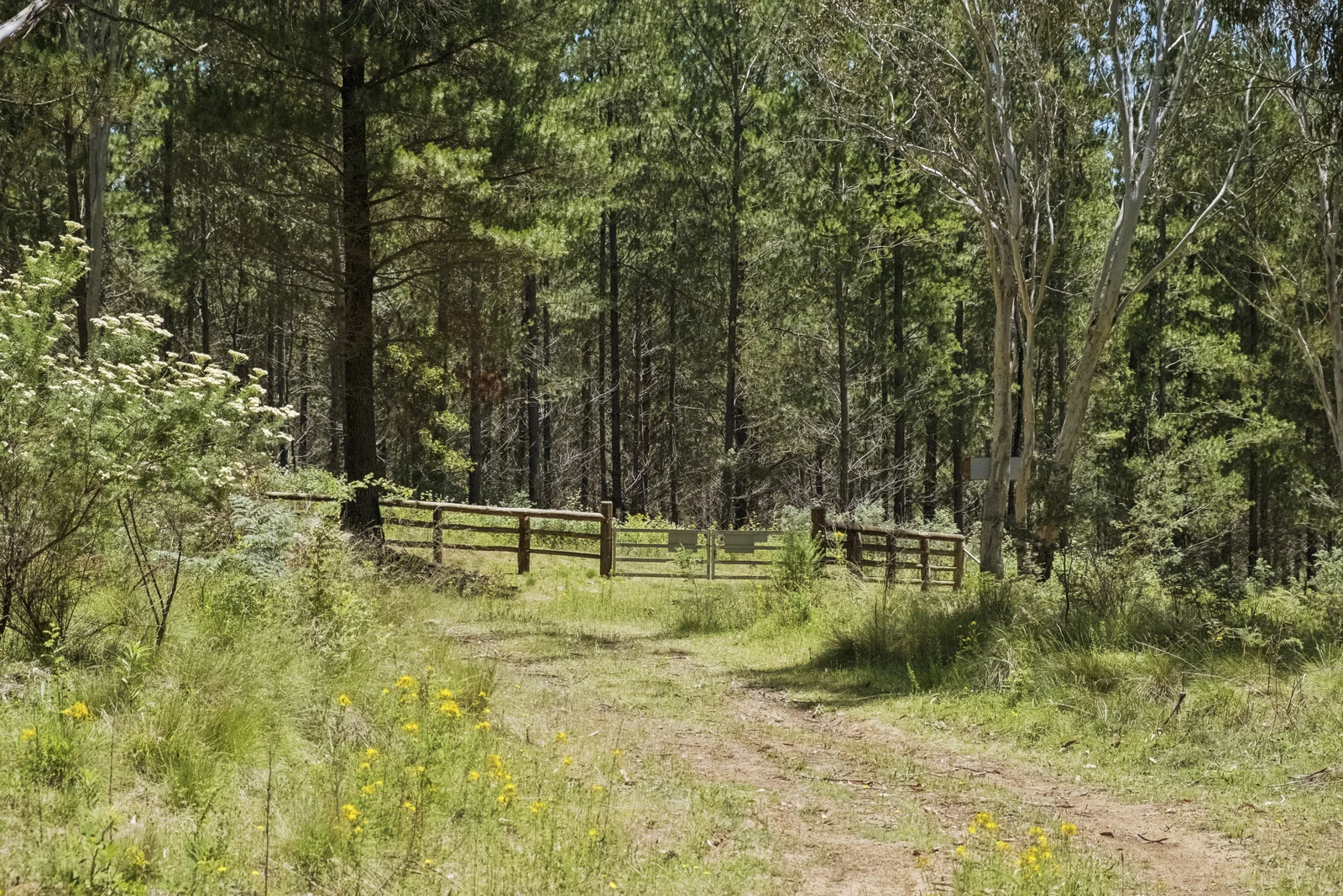 Additional image 18 of 321 Log Bridge Creek Road, Wee Jasper NSW 2582