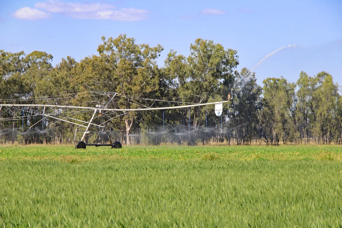 Additional image 30 of "Edenbelle" Lake Pleasant Road, Goovigen QLD 4702