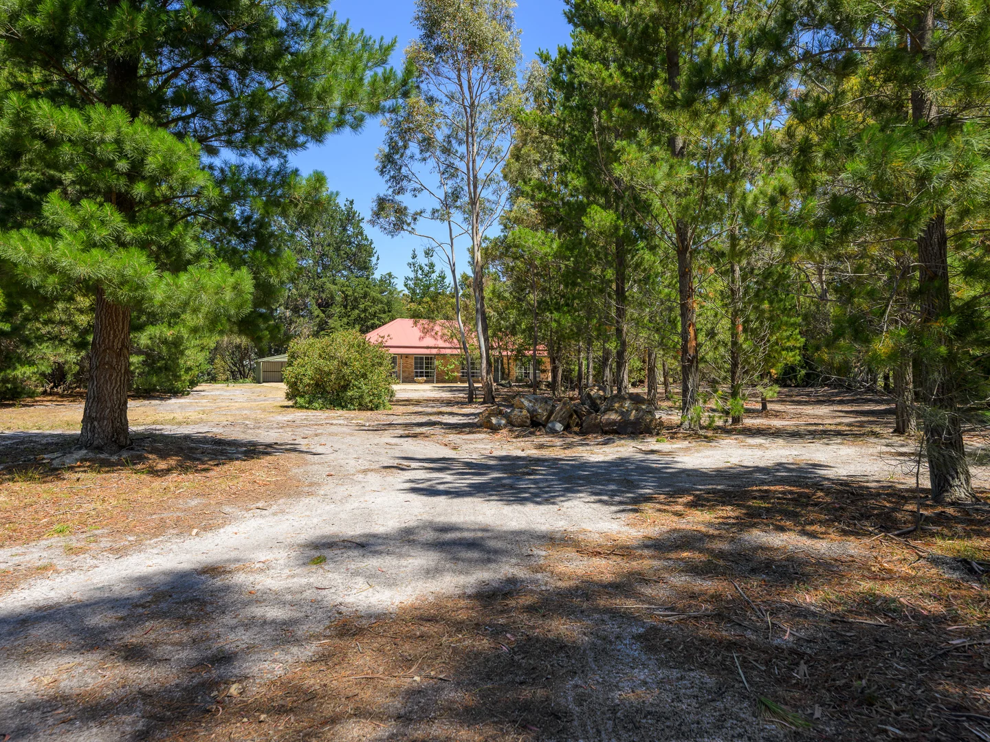 Additional image 29 of 169 Tully Street, St Helens TAS 7216