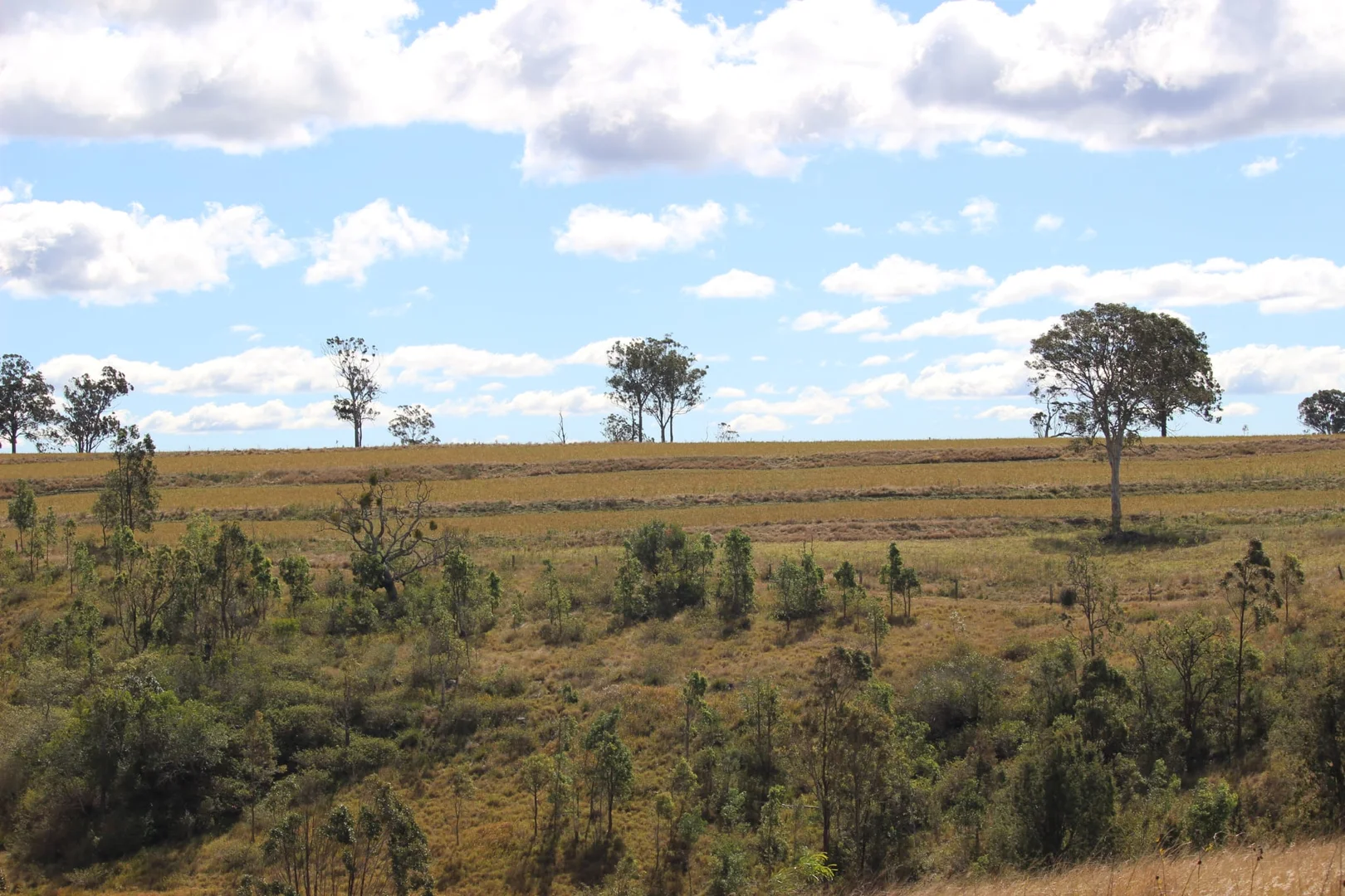 Additional image 28 of 231 Dascombe Road, Coalbank QLD 4352