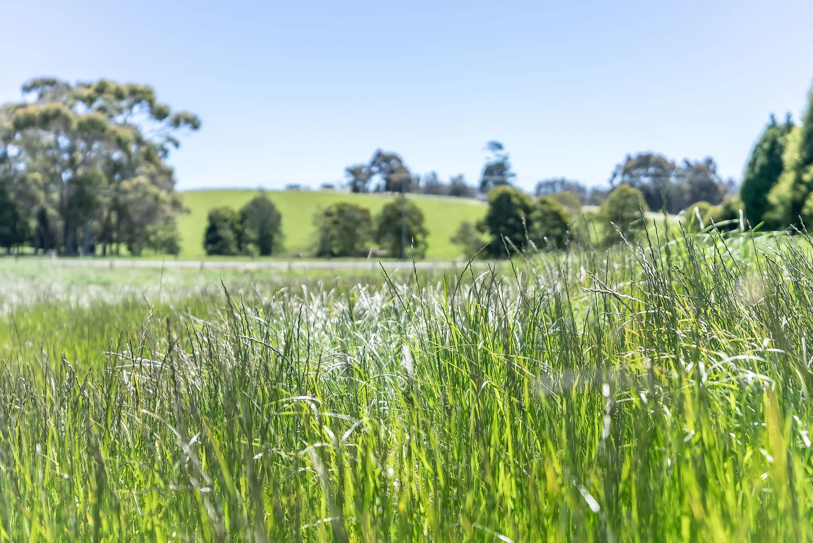 Additional image 17 of 696 Golconda Road, Lebrina TAS 7254