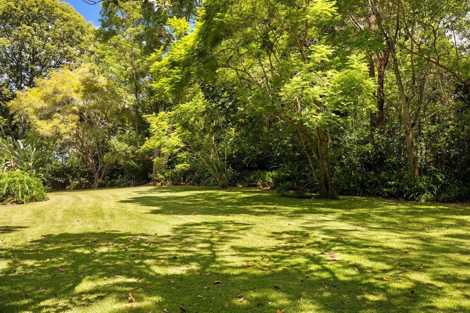 Additional image 15 of 403 Binna Burra Road, Federal NSW 2480